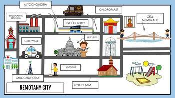 cell as a city|cell city project images.